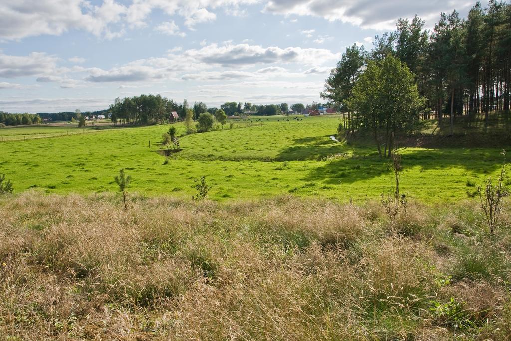 Agroturystyka Sominy Piotr Eksteriør bilde
