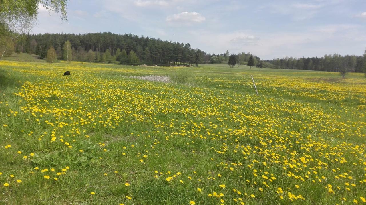 Agroturystyka Sominy Piotr Eksteriør bilde